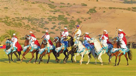 LA PALMERAIE, UN OASIS DE POLO 